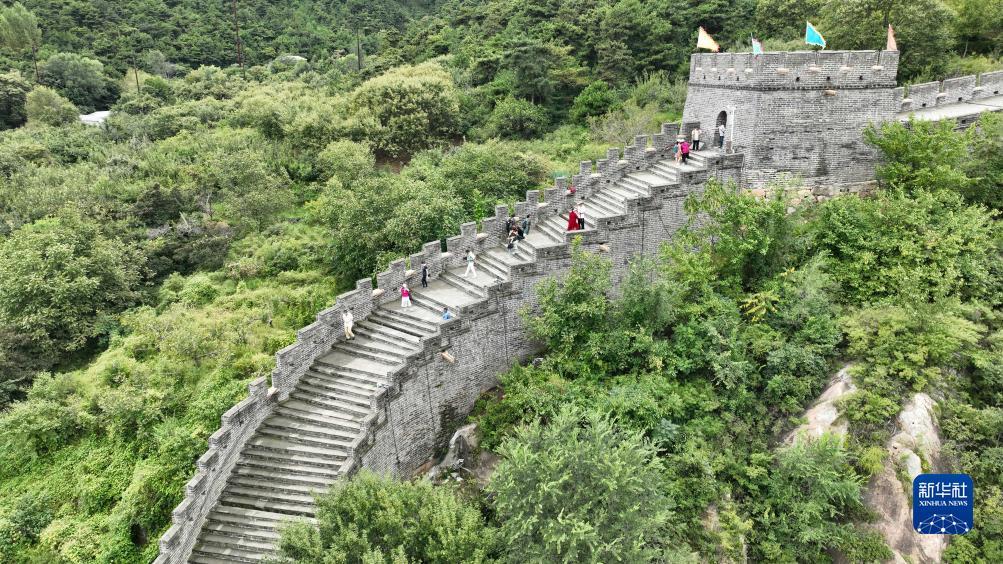 澳门新永利113